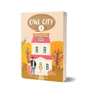 D'une manière ou d'une autre (Owl City 2)