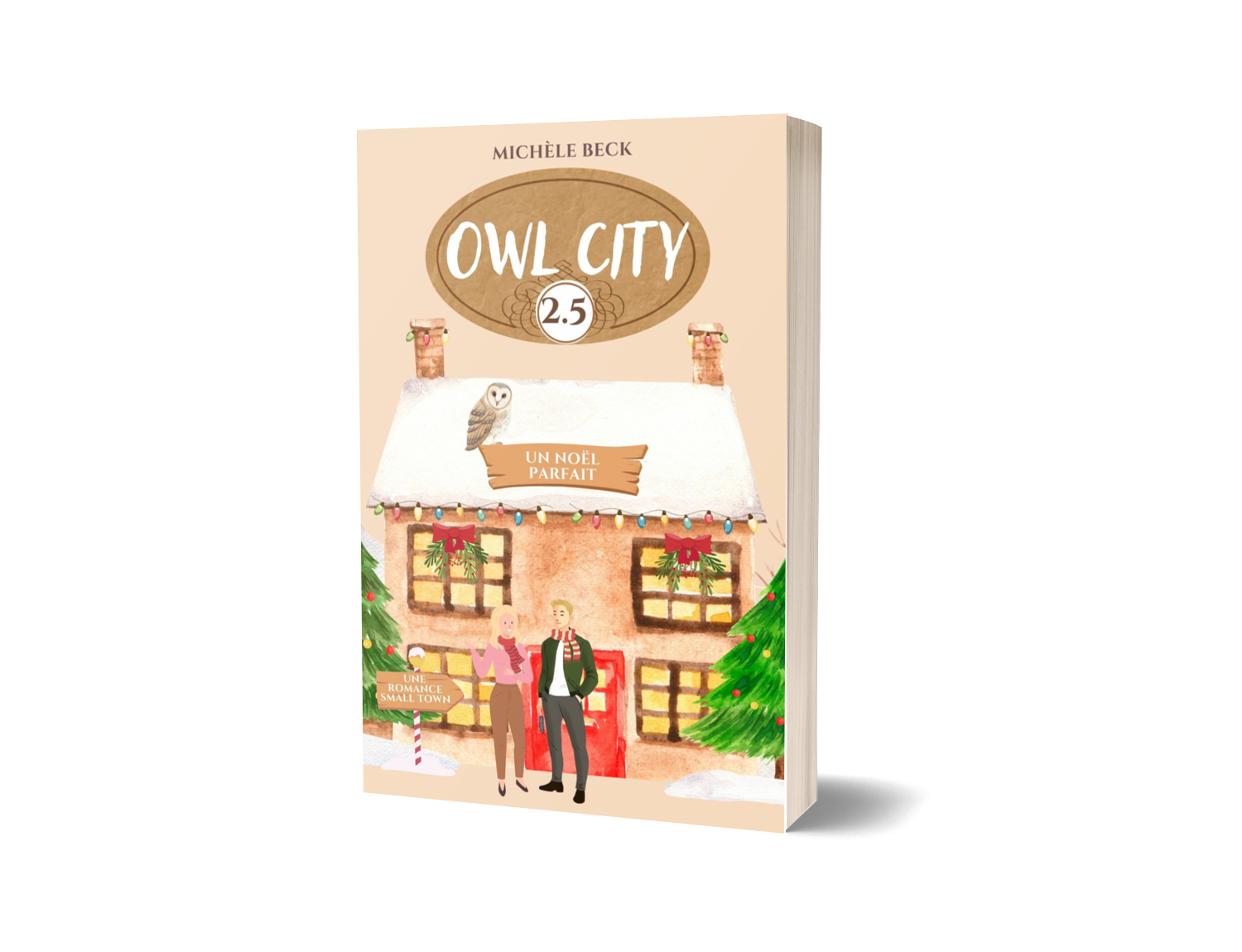 Un Noël parfait (Owl City 2,5)